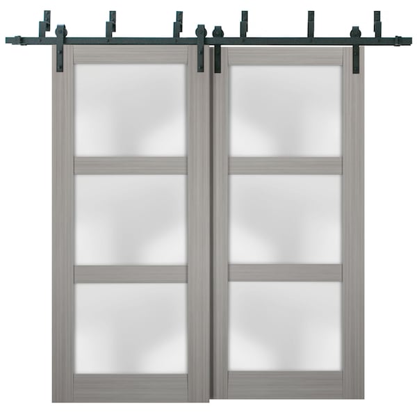 Sartodoors Barn Bypass Interior Door, 48" x 96", Gray LUCIA2552BBB-SSS-4896 - main